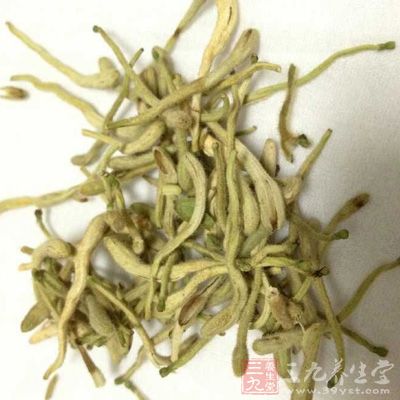 使用经过熏制的金银花菜干