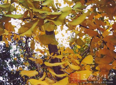 秋季气候对人体影响