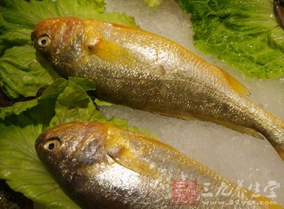 包括肉類、魚類