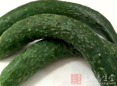 黄瓜存放一天一夜后 黄瓜存放一天一夜后