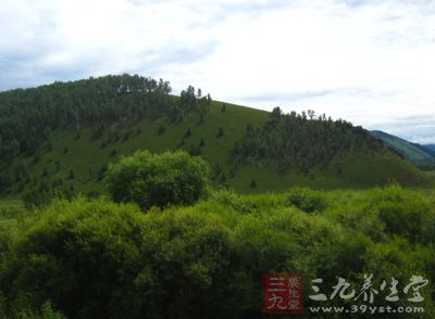 绿茶“龙井茶”产地