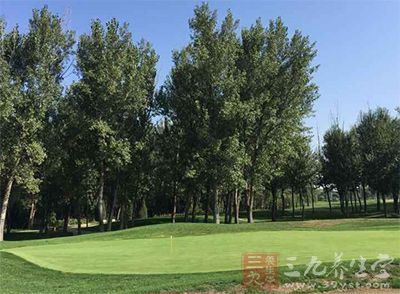 击球时要尽可能少地削起草皮无论你选用的是哪种球杆