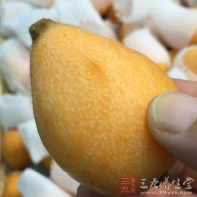 枇杷的功效与作用