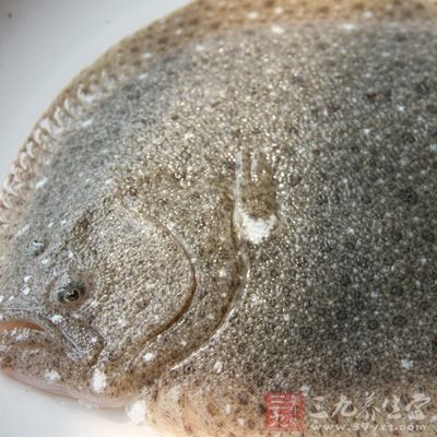 多寶魚(yú)其實(shí)叫做大菱鲆魚(yú)