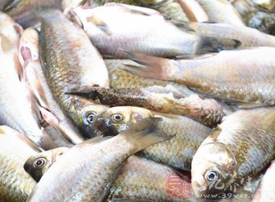 日常饮食中，多吃鱼、肉、多喝奶，都可达到健脑效果