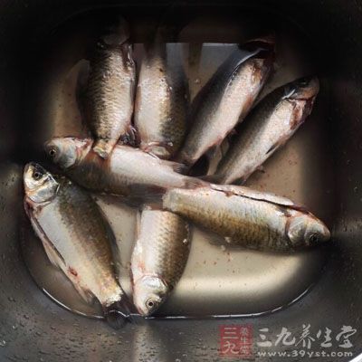 沿海地區(qū)的居民多食魚類食物