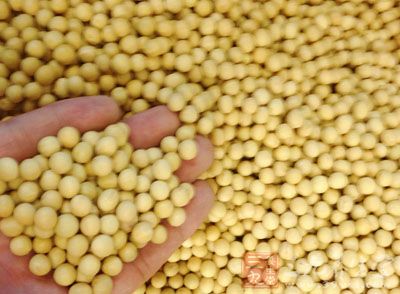 白血病药膳偏方-三九养生堂养生百科