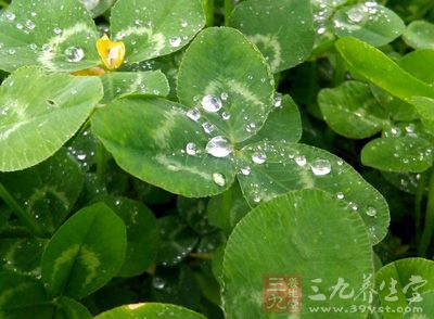 雨水是24節(jié)氣中的第2個節(jié)氣