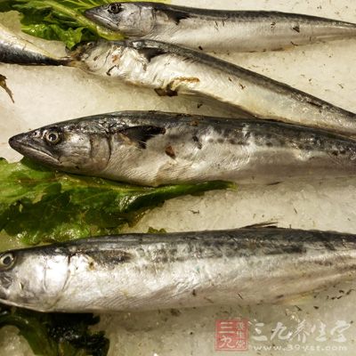 好以低脂乳制品類、豆類和魚蝦類為主要蛋白質(zhì)來源