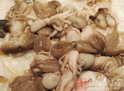 章鱼含有丰富的蛋白质、矿物质等营养元素 章鱼含有丰富的蛋白质、矿物质等营养元素