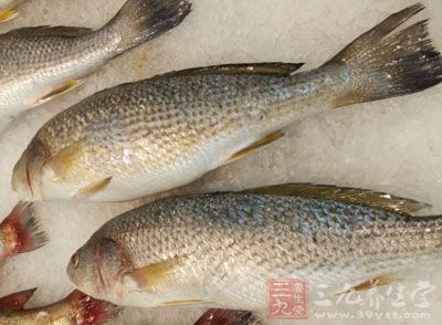 鱼鳞中还含有较多的甲壳素,有增强人体免疫功能的作用 鱼鳞中还含有较多的甲壳素,有增强人体免疫功能的作用