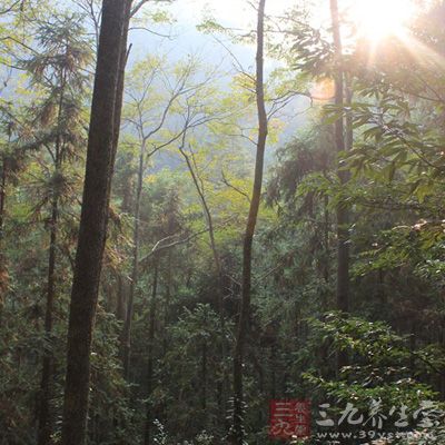 西北高原山地仍處于干季，空氣溫度小，風(fēng)速大，容易發(fā)生森林火災(zāi)