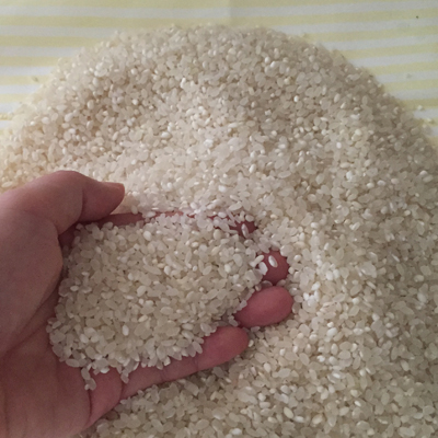 大米有霉味如何处理 大米有霉味如何处理