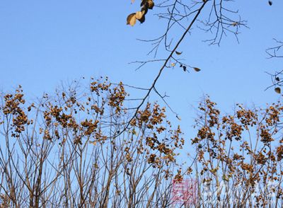 夏天是水果盛产期 夏天是水果盛产期