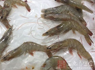 吃虾好处多海虾强肾河虾补钙
