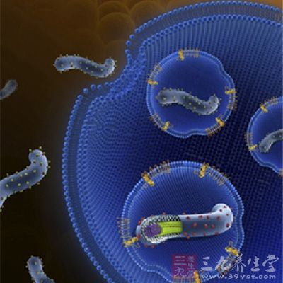 杀手埃博拉肆虐全球 落网中国