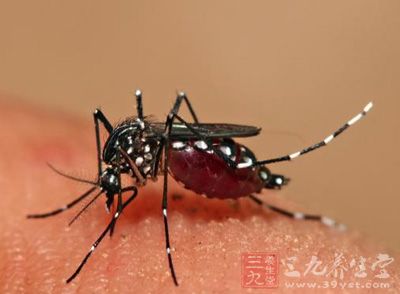 海南竟是塞卡重点传播省份之一 应这样预防