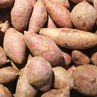 红薯的营养价值 吃红薯能有效抗癌