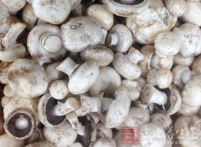 谨防毒蘑菇 谨防毒蘑菇谨防毒蘑菇