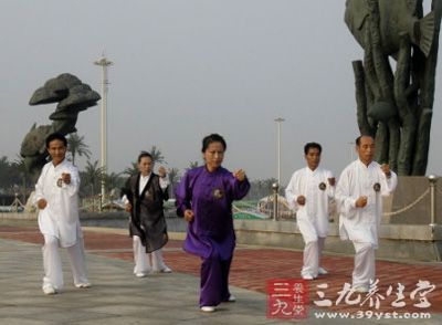 在当今的陈式太极拳的流传中