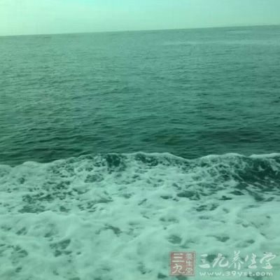 一旦遇上風浪、海嘯，必須沉著冷靜