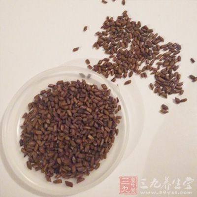 决明子也是可以起到去火气的作用的一款茶