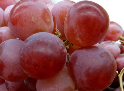 葡萄营养丰富,酸甜可口 葡萄营养丰富,酸甜可口