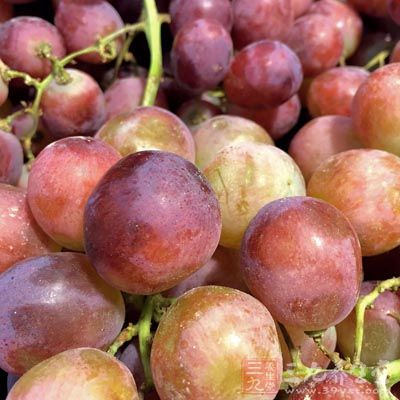 葡萄还含有一种抗癌微量元素白藜芦醇