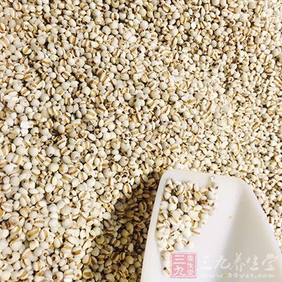 薏米像米更像仁,所以也有很多地方叫它薏仁 薏米像米更像仁,所以也有很多地方叫它薏仁