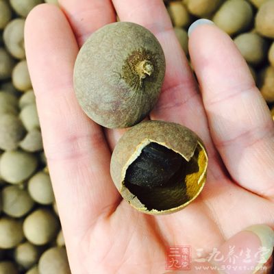 桂圆肉少许 桂圆肉少许