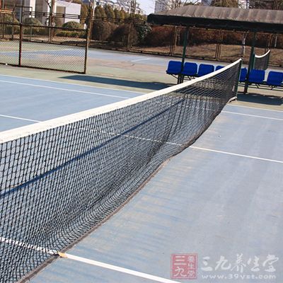 网球场地标准尺寸 你了解过网球场吗