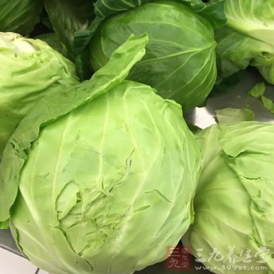 食材—包头菜—吕振霞