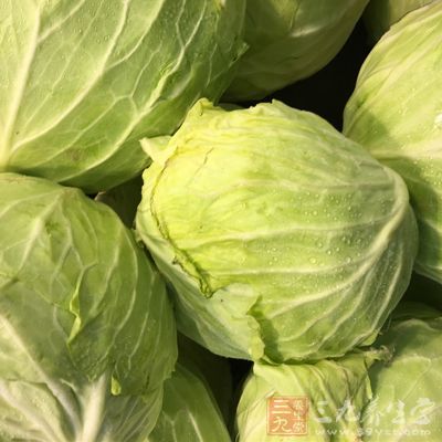 食材-包头菜-王莹拍摄-吴佳佳修163