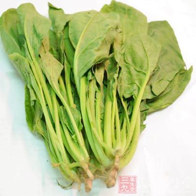 春天的菠菜才是鮮嫩，具有營養(yǎng)價值的