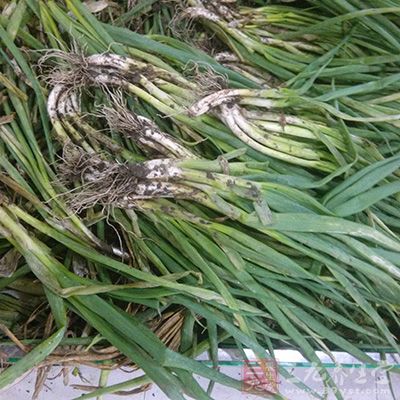 将水龙头开到大来清洗污垢,清洗的时候剥去葱的外皮 将水龙头开到大来清洗污垢,清洗的时候剥去葱的外皮