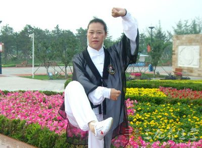 太极拳视频 刘萧演练武式二十八式太极拳