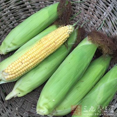 玉米富含脂肪 玉米富含脂肪