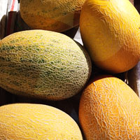 哈密瓜的功效与作用 吃哈密瓜能减肥利便