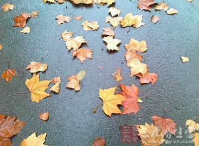 尤其是秋季,生吃瓜果要洗净 尤其是秋季,生吃瓜果要洗净