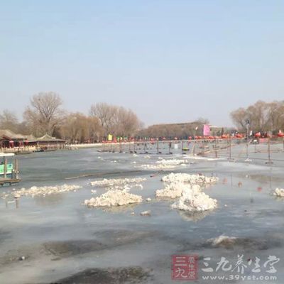 真冰场也开了不少家 真冰场也开了不少家