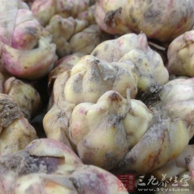 粥里加百合 粥里加百合