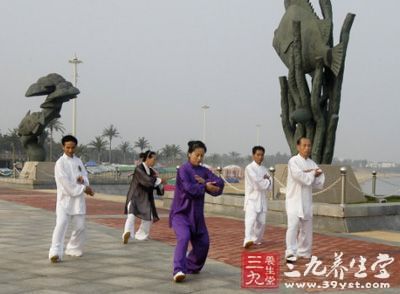 太极拳视频 吴延强演练武式太极拳108式