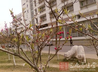 炎炎夏日，冷食成了大家度夏的熱門選擇