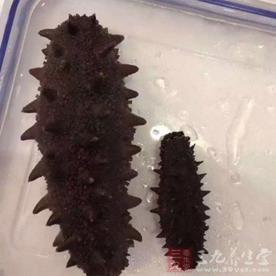 海參屬高蛋白低脂肪、低膽固?hào)N海產(chǎn)品