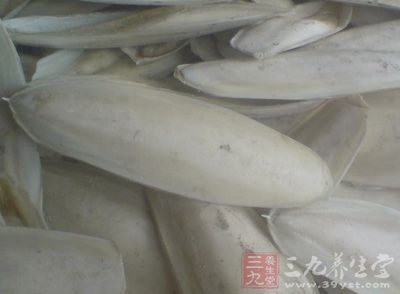 海螵蛸为乌则科动物无针乌贼、金乌贼、针乌贼等多种乌贼的内壳