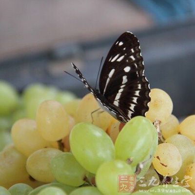 多吃水果水果，还应多吃绿色蔬菜，粮食，鱼和鸡蛋，多喝水对减轻眼睛干燥也有帮助