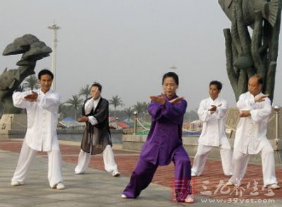 有内外结合的修炼，只能称作“太极操