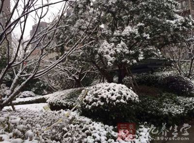 冬天天气寒冷,人体容易受到寒气的侵袭 冬天天气寒冷,人体容易受到寒气的侵袭