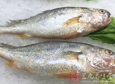 鱼类富含的丰富蛋白质可以提高子宫的收缩力