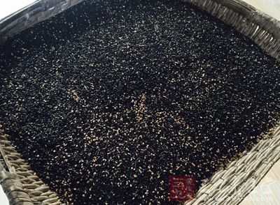 紫苏子、莱菔子、芝麻各15克 紫苏子、莱菔子、芝麻各15克